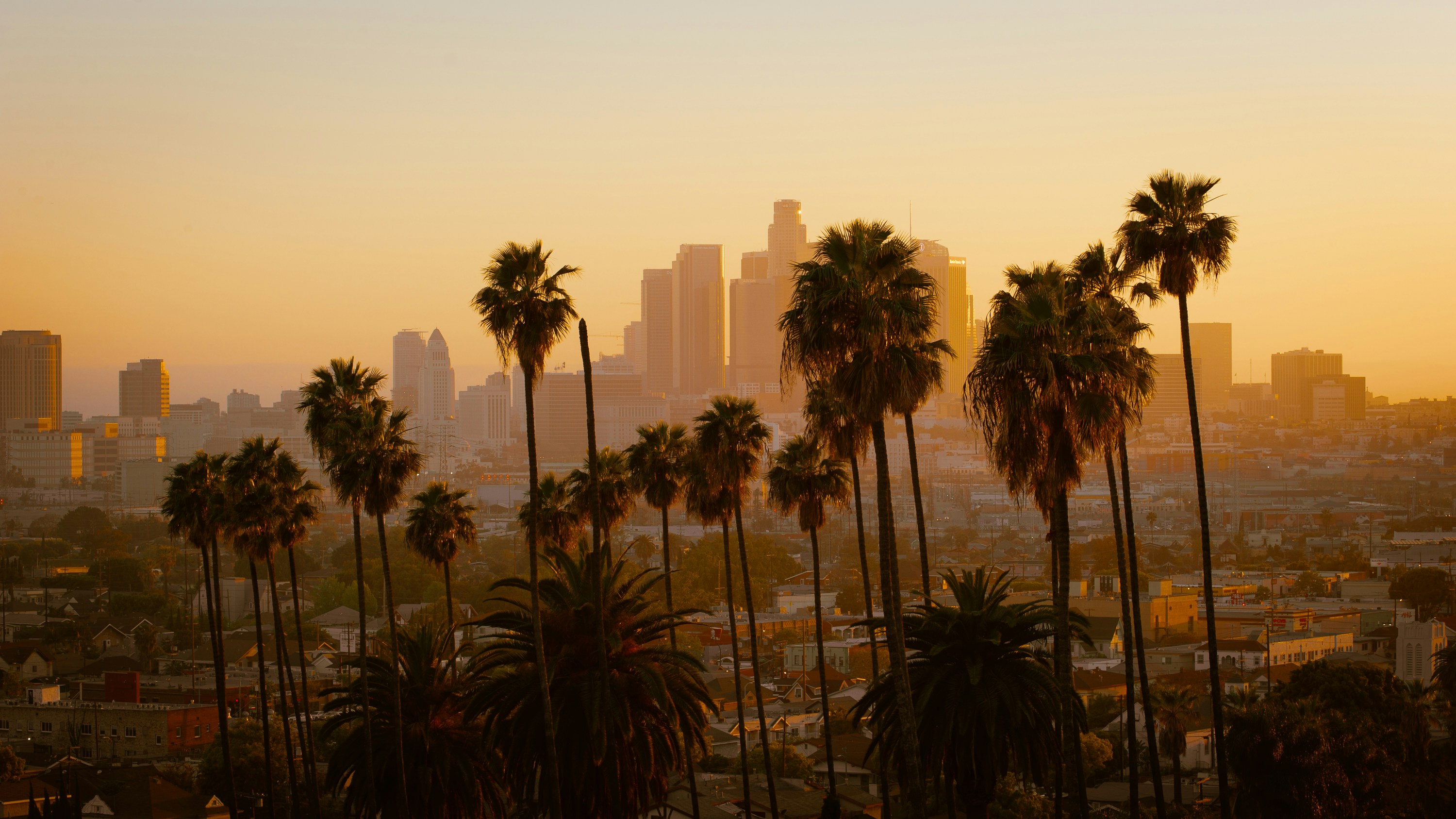 DATALAND: The World's First AI Art Museum to Open in Los Angeles