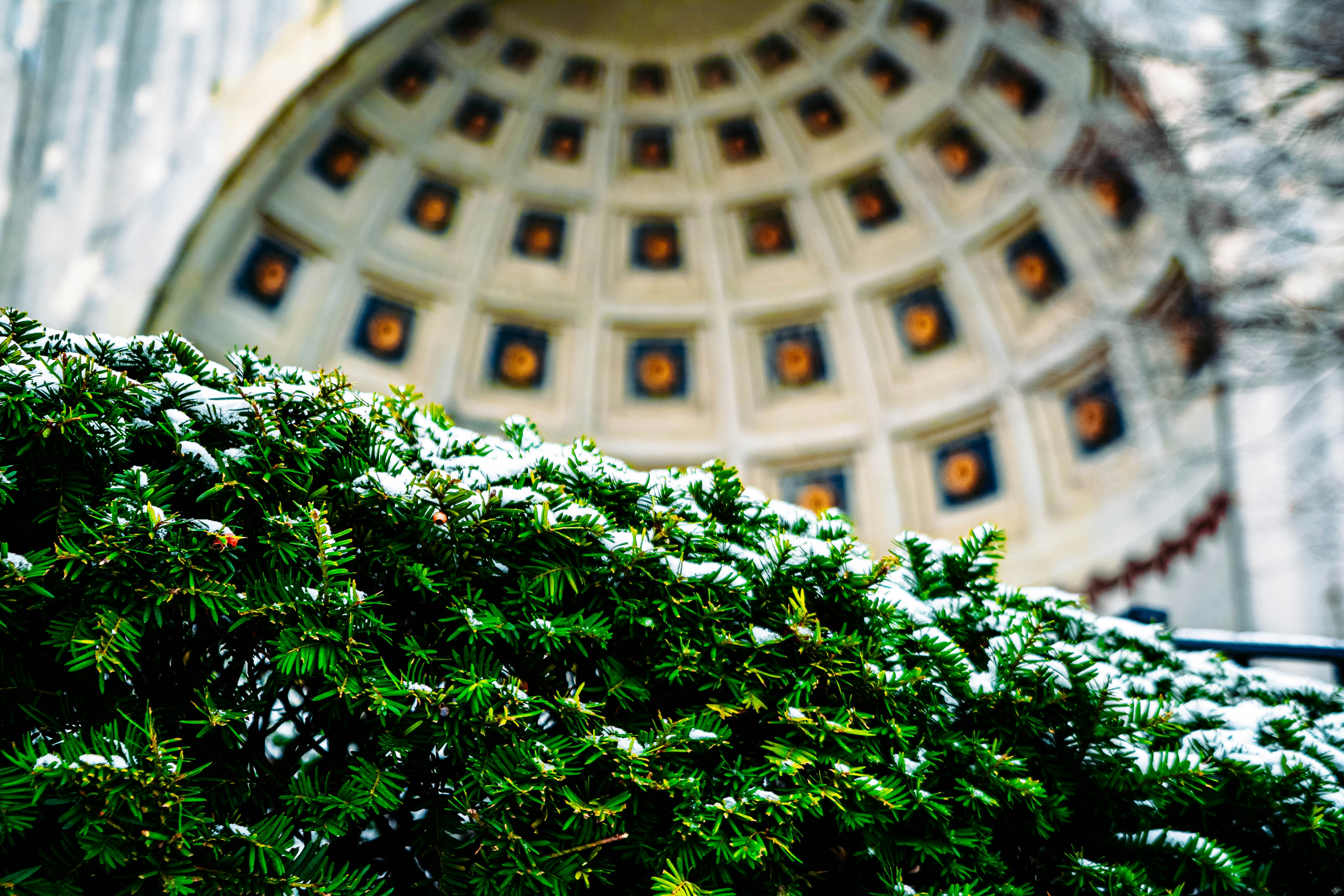 Ohio State Makes AI Literacy a Student Requirement