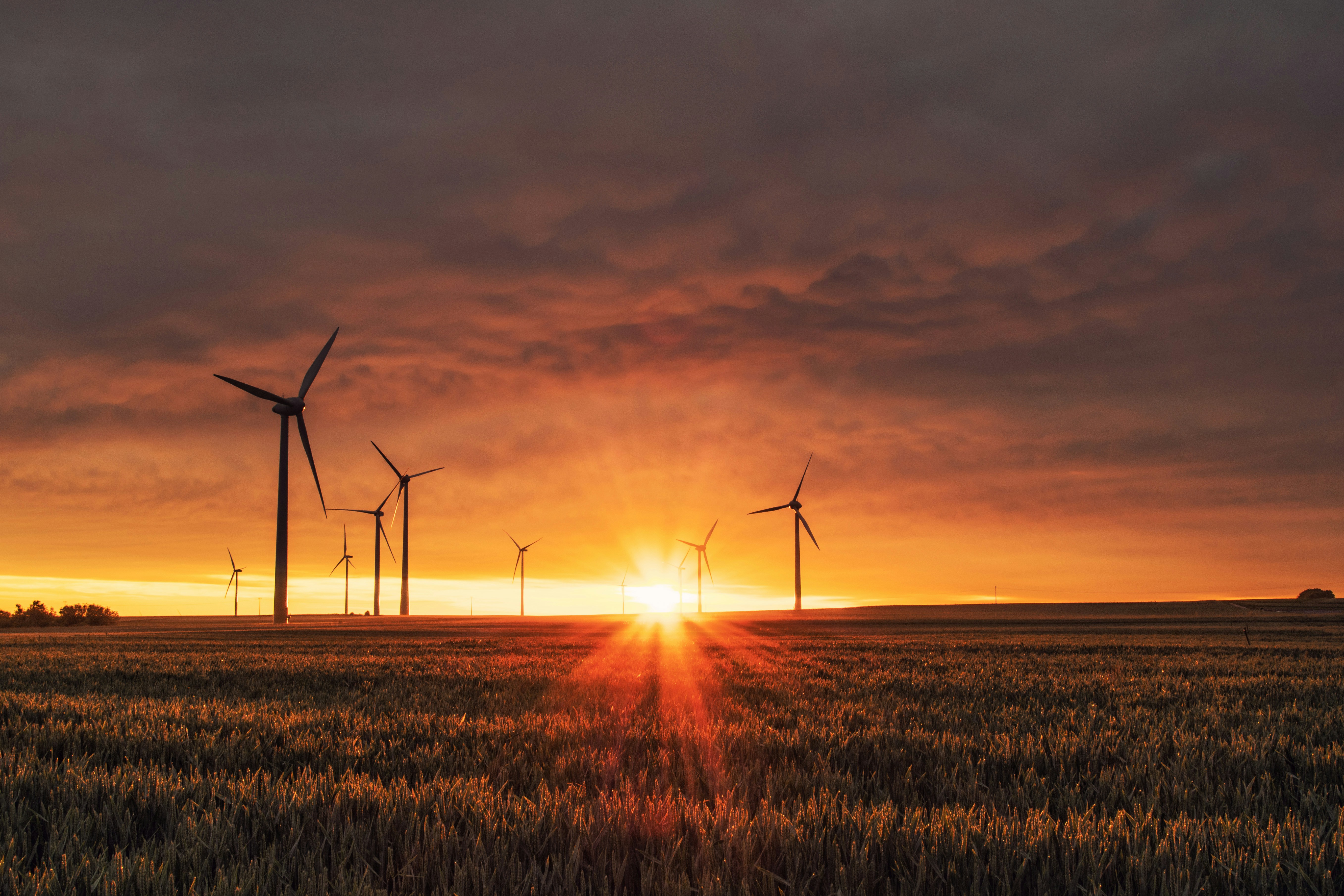Schneider Bets on AI to Power a Greener Future