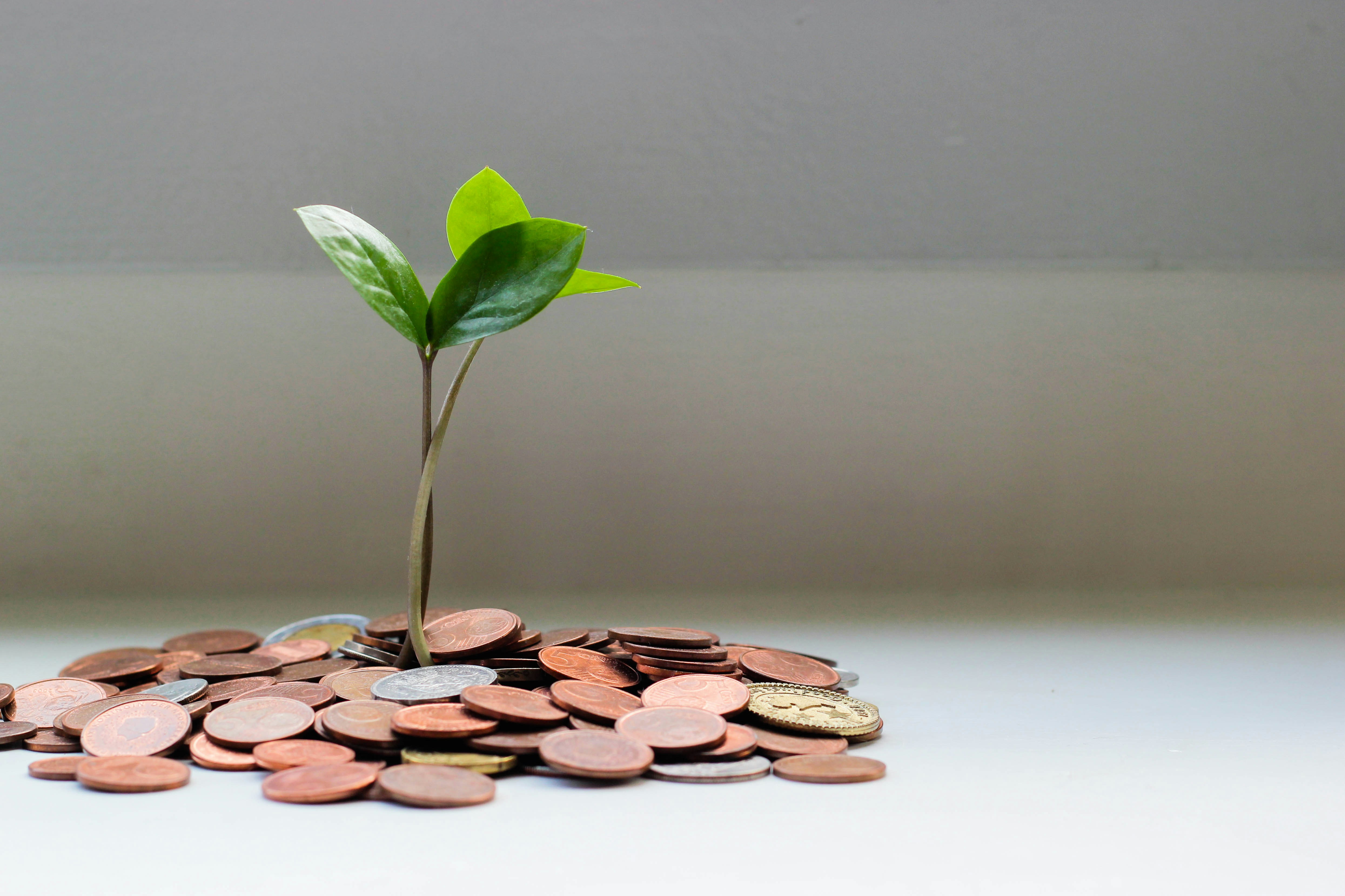 AI Gateway Startup OpenRouter Hits $1.3B Valuation After 5x Token Growth