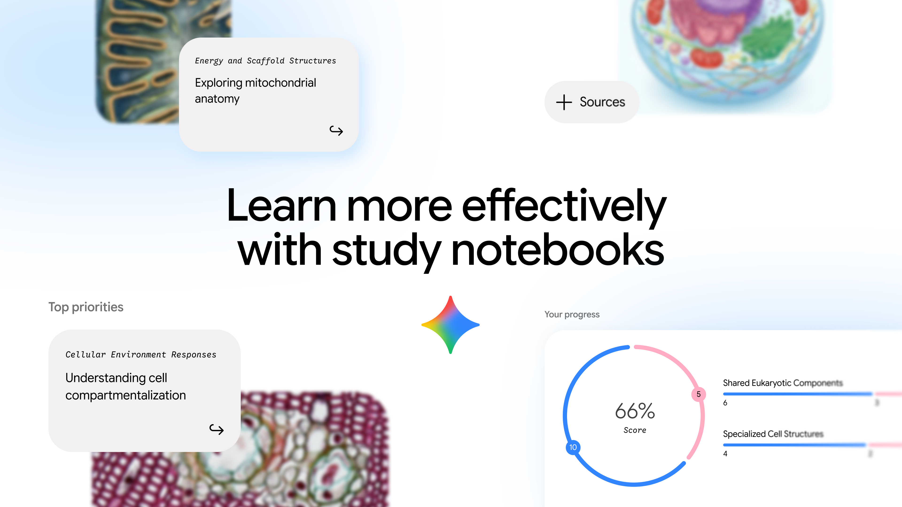 Google’s Gemini Gets Study Notebooks With Personalized AI Lessons