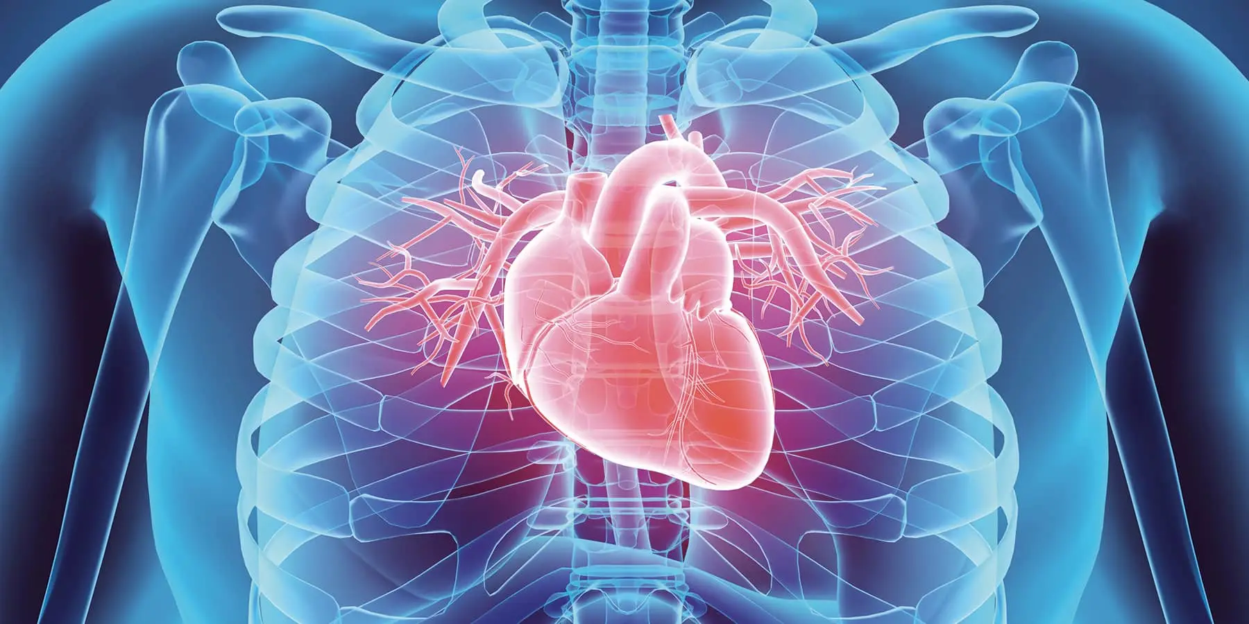 Imperial College AI Can Detect Heart Failure From an ECG in Under Two Seconds