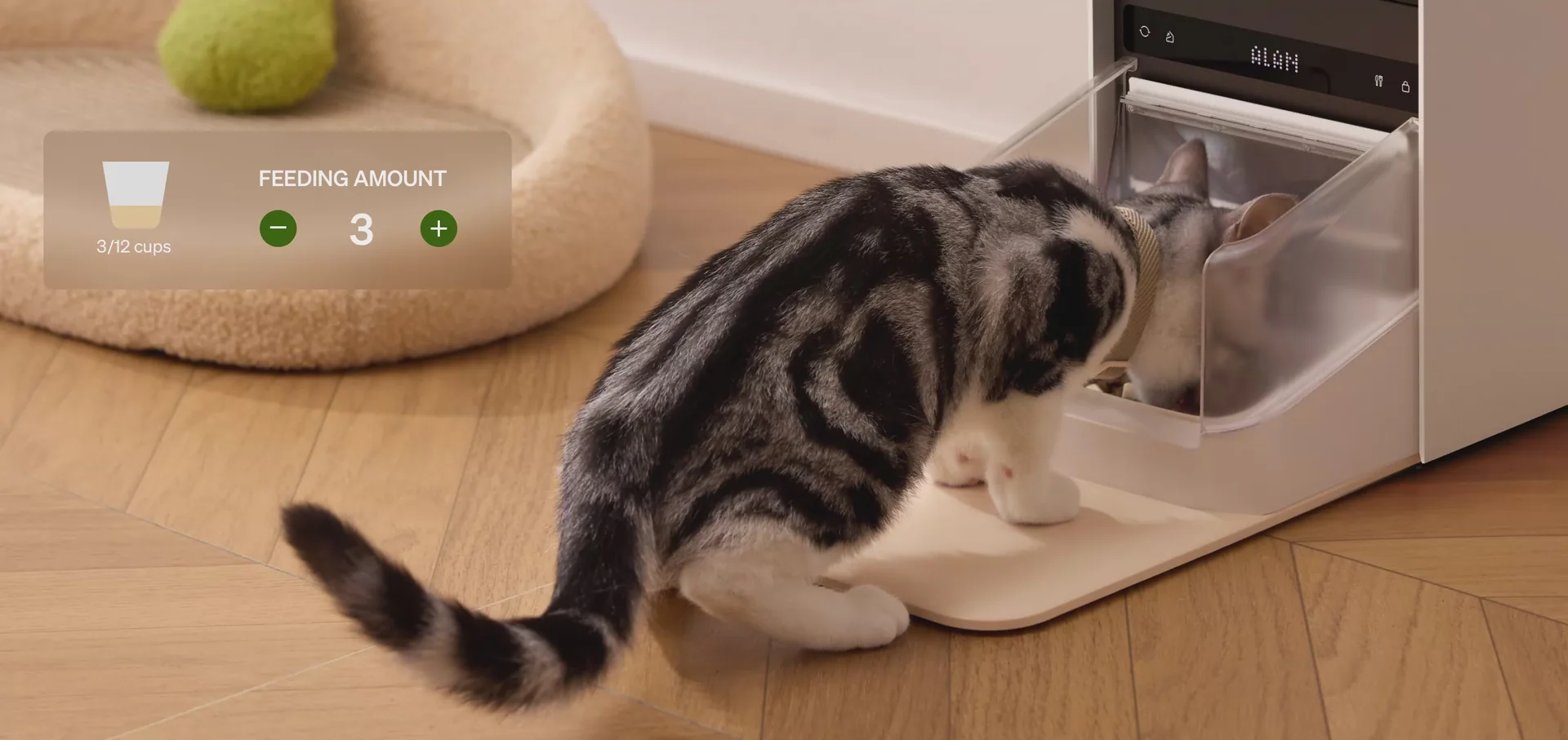 Petlibro’s New Granary 2 Smart Feeder Tracks Cat Eating Habits With AI