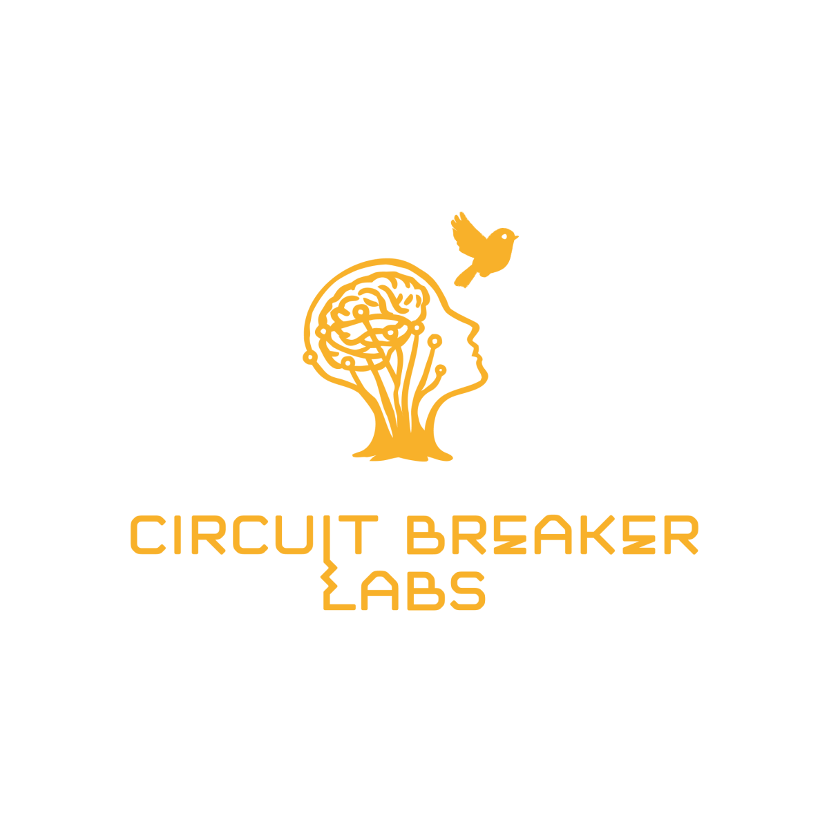 Circuit Breaker Labs Uses AI ‘Crash-Test Dummies’ to Make Chatbots Safer