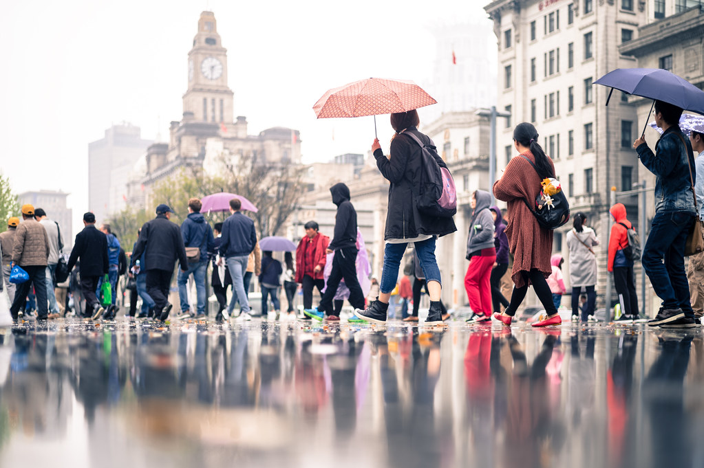 Mirror Particle Is Building an AI Model to Predict Human Behavior