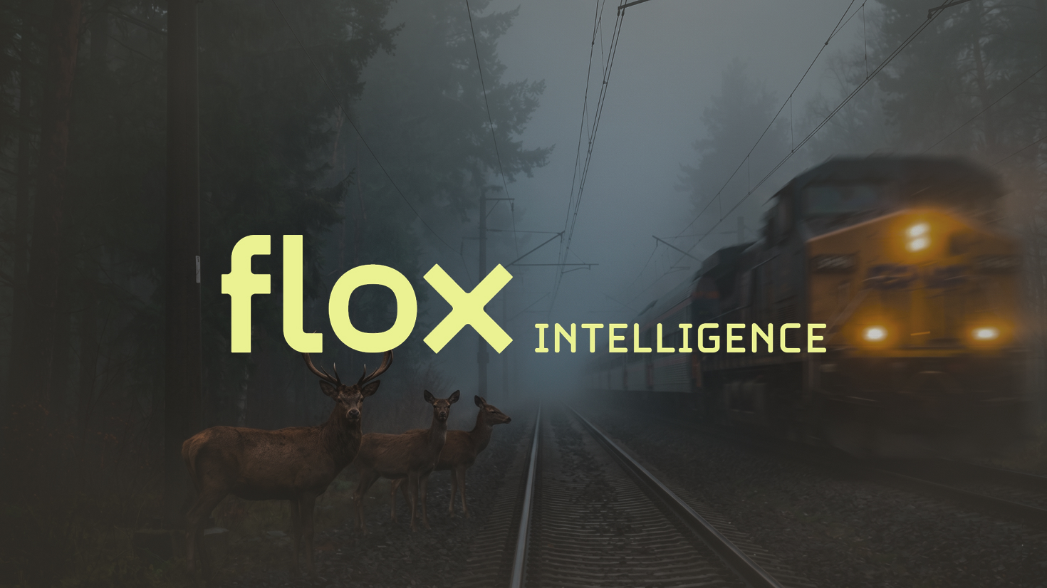 Flox Intelligence Uses AI to Keep Wildlife Away From Roads, Railways and Airports