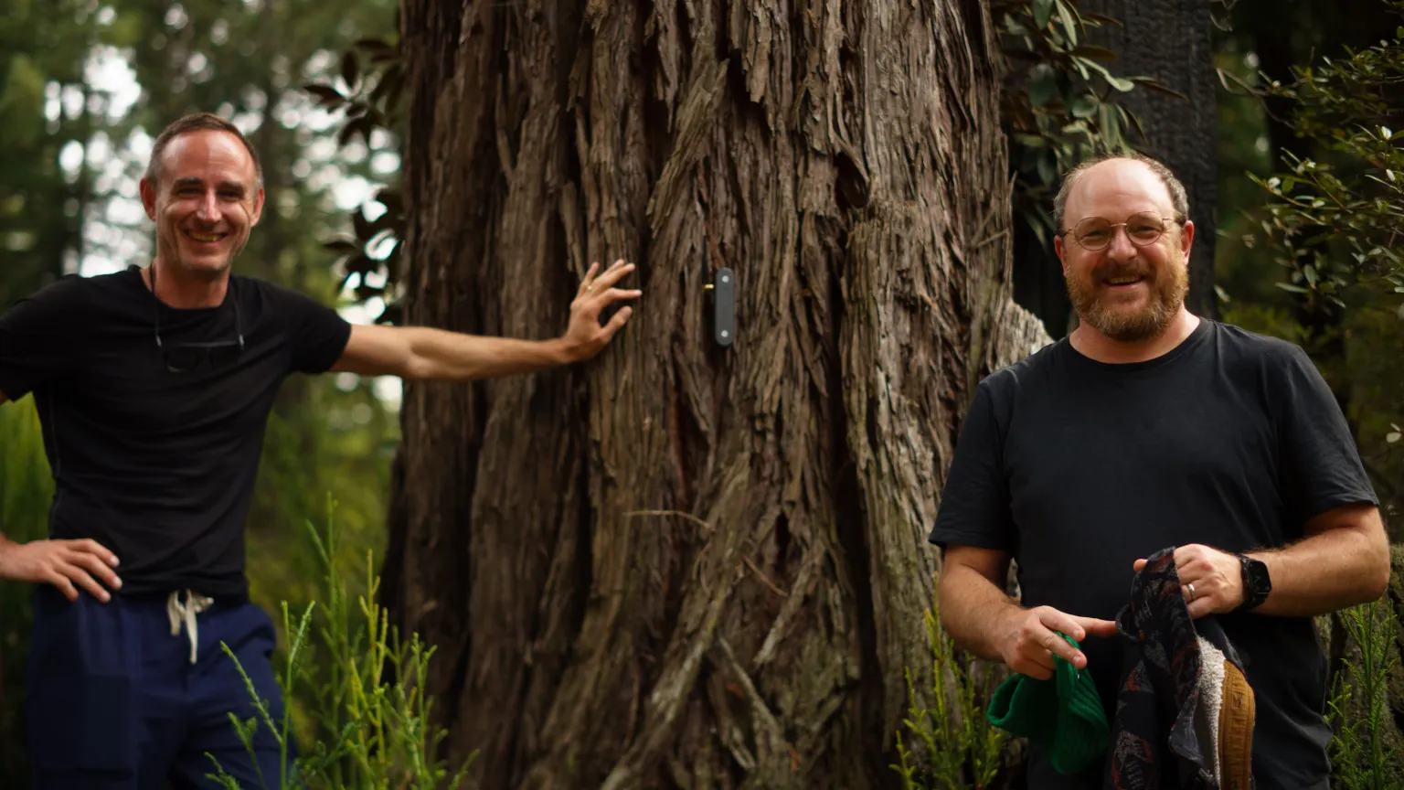 This Startup Built an AI That Reads Plant Signals to Tell Farmers What Crops Need
